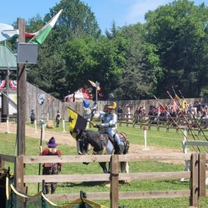 Renaissance-Festival-Sanitation