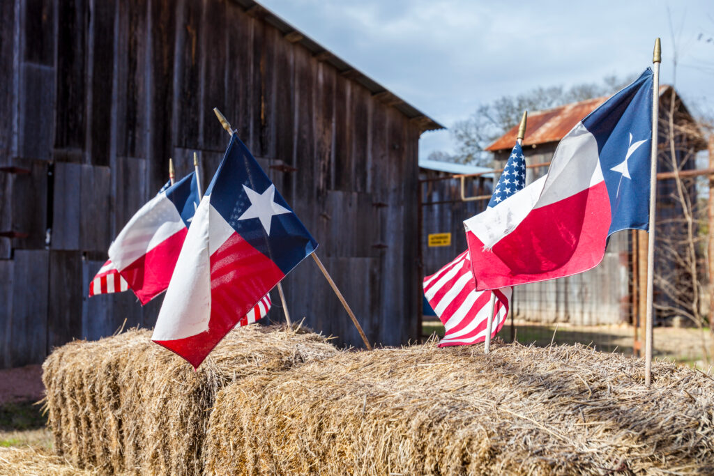 Texas independence day