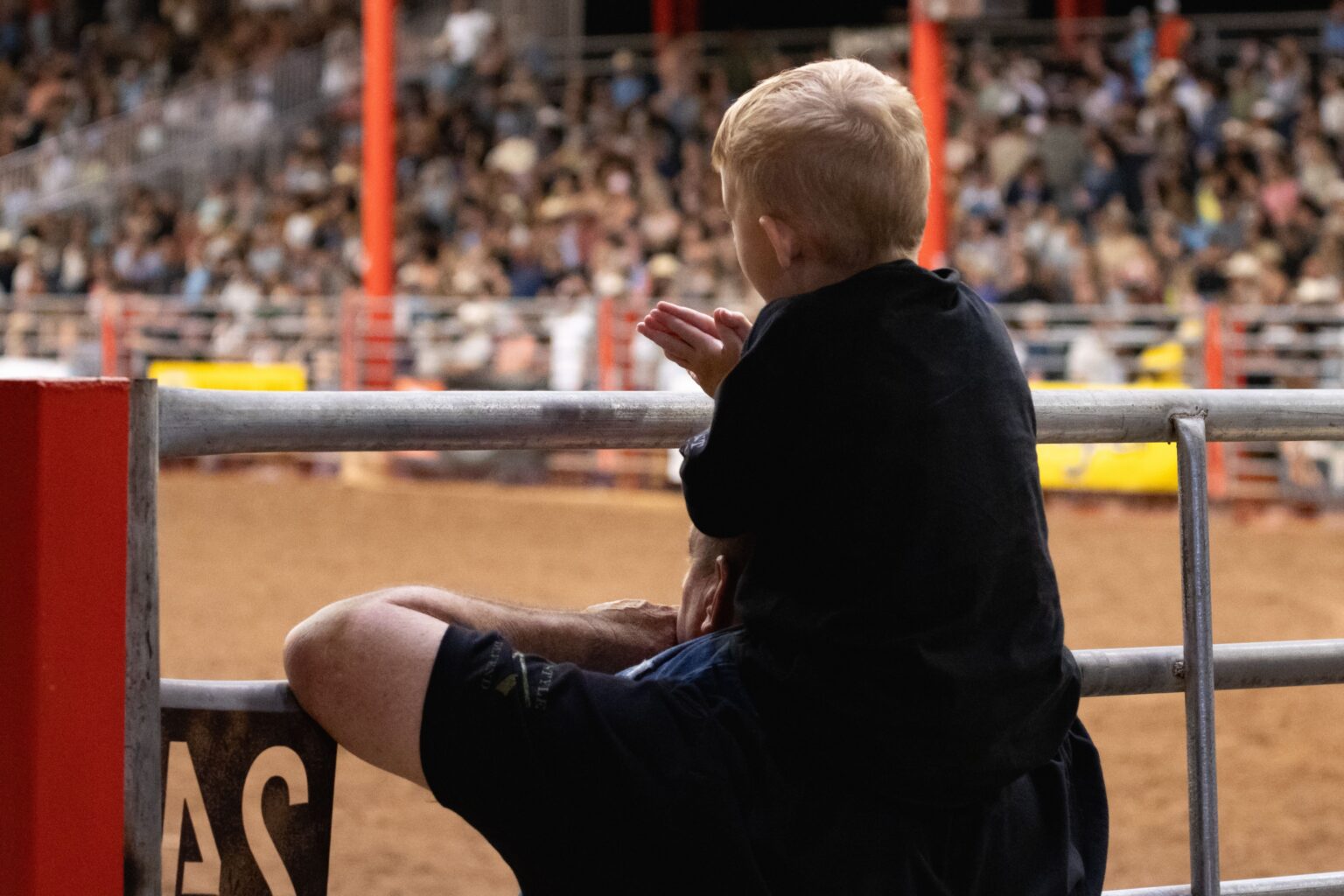 Spectators In Rodeo Ring Organize a Texas Rodeo: Everything You Need For a Successful Rodeo