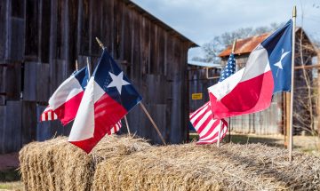 Texas independence day