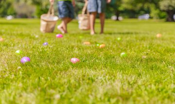 easter egg celebration